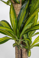 Set 2 Piante Artificiali Dracaena Ø100x130 cm in Plastica con Vasi Verde-3