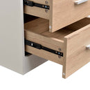 Comodino Mobiletto Cassettiera 2 Cassetti Design Moderno in legno MDF Bianco-4