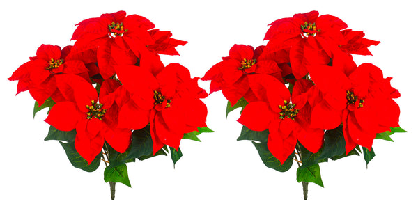 Set 2 Weihnachtssternbüsche mit 7 Blumen H50 cm Rot sconto