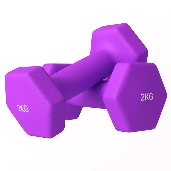 Set 2 Manubri Palestra 2 kg Pesi esagonali per Allenamento Viola prezzo