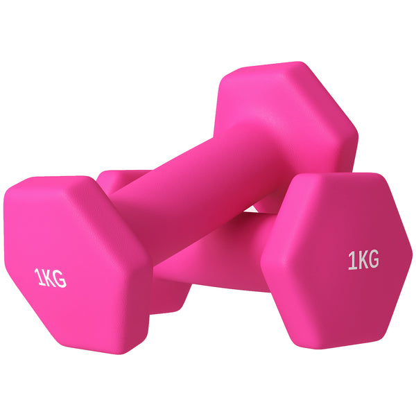 Set 2 Manubri Palestra 1 kg Pesi esagonali per Allenamento Rosa prezzo