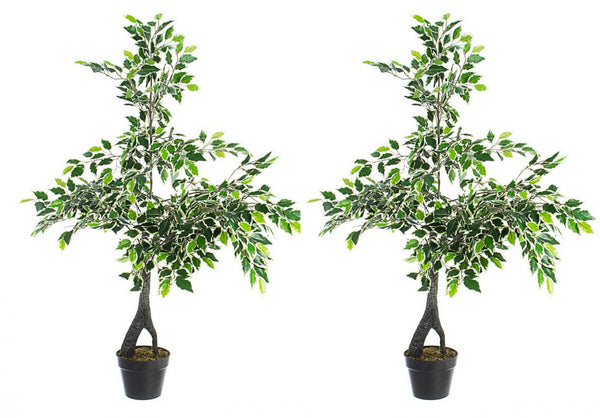 online Set 2 Piante Artificiali di Ficus 120 h in Plastica con Vasi Verde