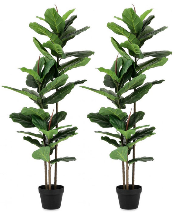 Set 4 Piante Artificiali con Vaso 55x45x120 cm Ficus Lyrata in Plastica – acquista  su Giordano Shop