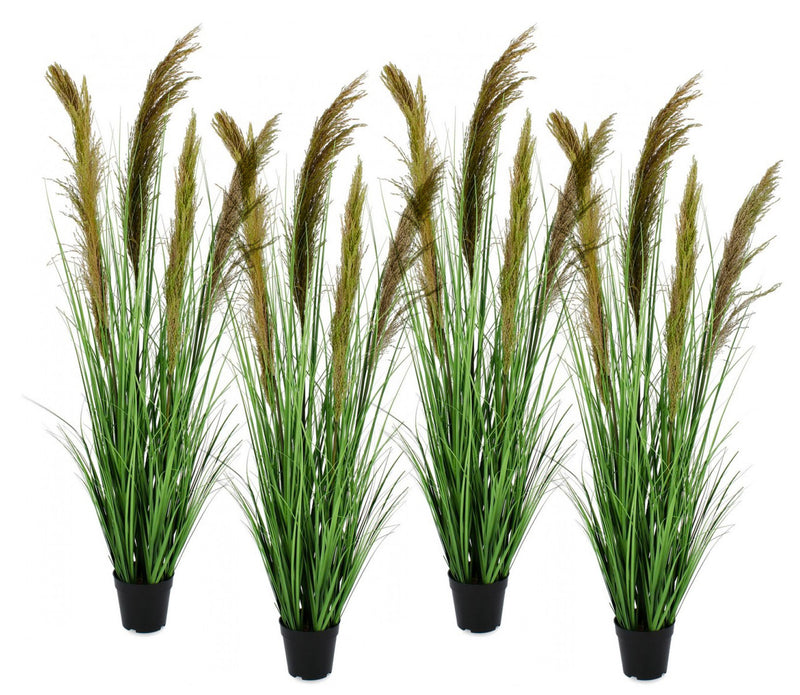 Set 4 Piante Artificiali con Vaso Ø 70x145 cm Pampas in Plastica Verde Marrone-1