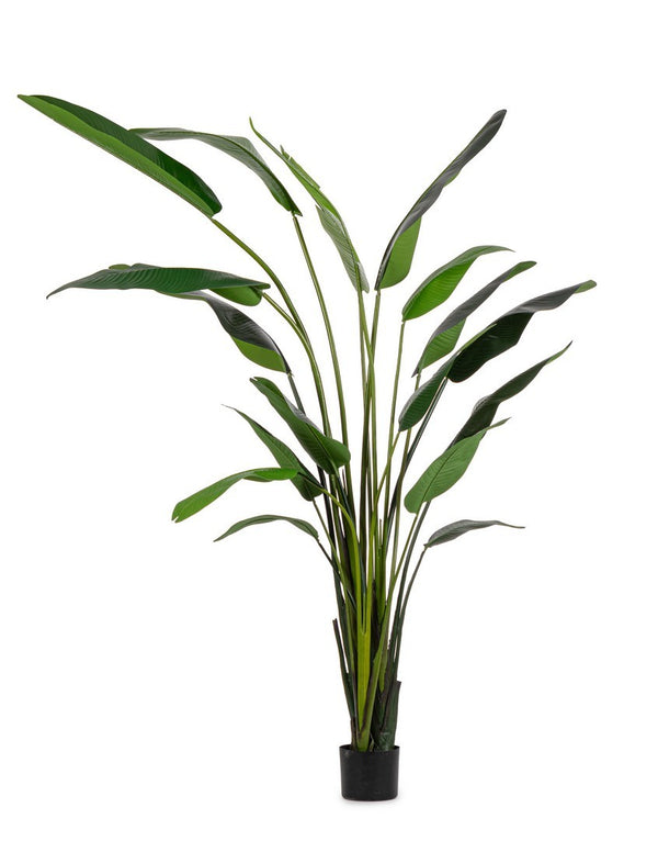 Pianta Artificiale Strelitzia 180x140x310 cm in Plastica con Vaso Verde online