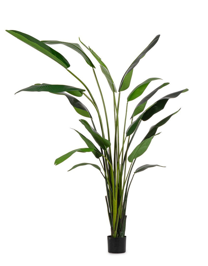 Pianta Artificiale Strelitzia 180x140x310 cm in Plastica con Vaso Verde -1