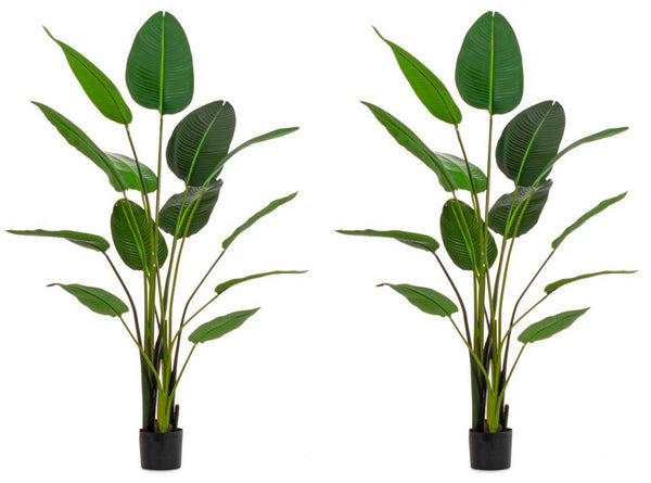 Set 2 Piante Artificiali Strelitzia 170x32x185 cm in Plastica con Vasi Verde online