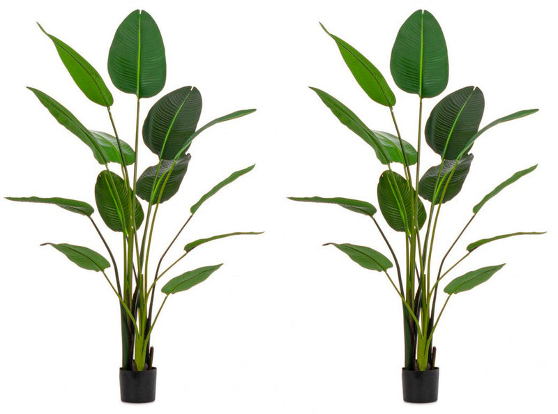 Set 2 Piante Artificiali Strelitzia 170x32x185 cm in Plastica con Vasi Verde-1