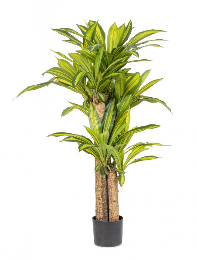 Set 2 Piante Artificiali Dracaena Ø100x130 cm in Plastica con Vasi Verde-2