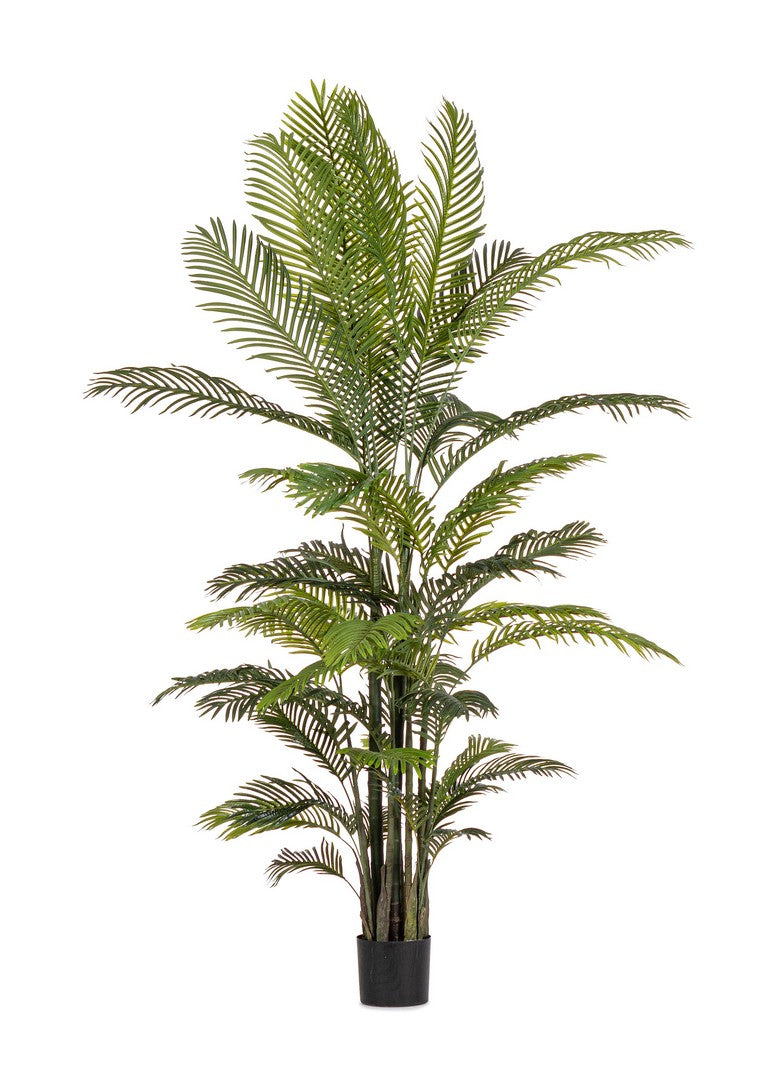 Pianta Artificiale di Kenzia Ø150x210 cm in Plastica con Vaso Verde -1