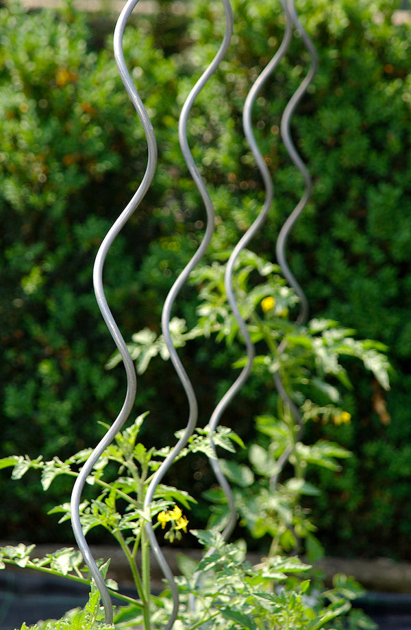 Set mit 10 Spiralstützen für Tomatenpflanzen 200 cm aus Stahl online