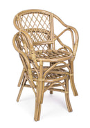 Poltrona da Giardino 54,5x60x80 cm in Rattan con Cuscino Cathina-2