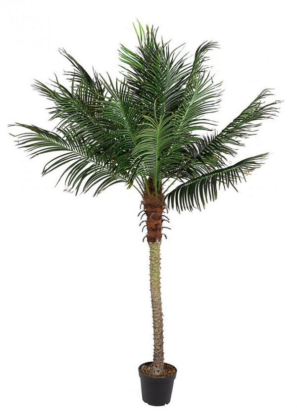 Künstliche Palme H210 cm mit grünem Topf online