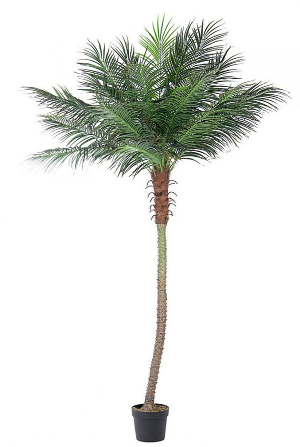 Künstliche Palme H300 cm mit grünem Topf online