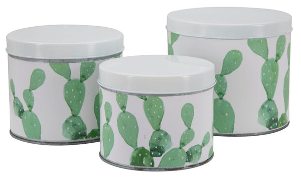 acquista Cactus Blechdosen Set 3 Stück Ø15x13,5-14x11,5-12,5x10 cm in Weiß, Grün Eisen