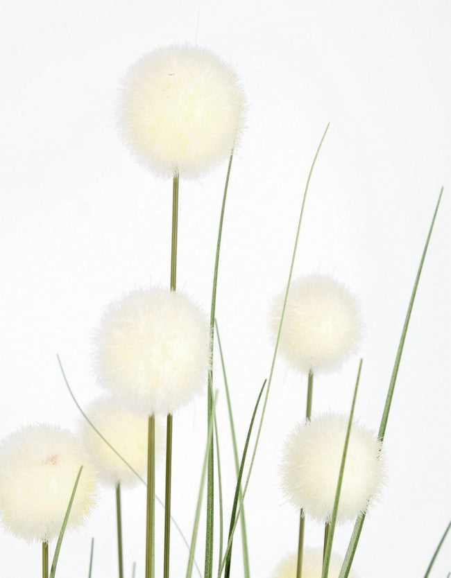 Set 6 Piante Artificiali con Vaso Ø 45x110 cm Eriophorum in Plastica Bianco-2