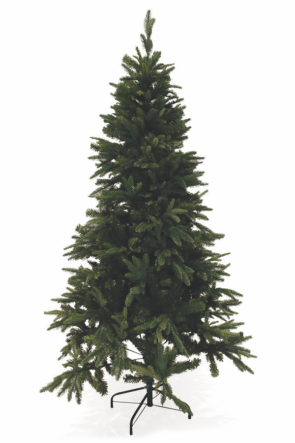 Weihnachtsbaum Tabby Canada Green acquista