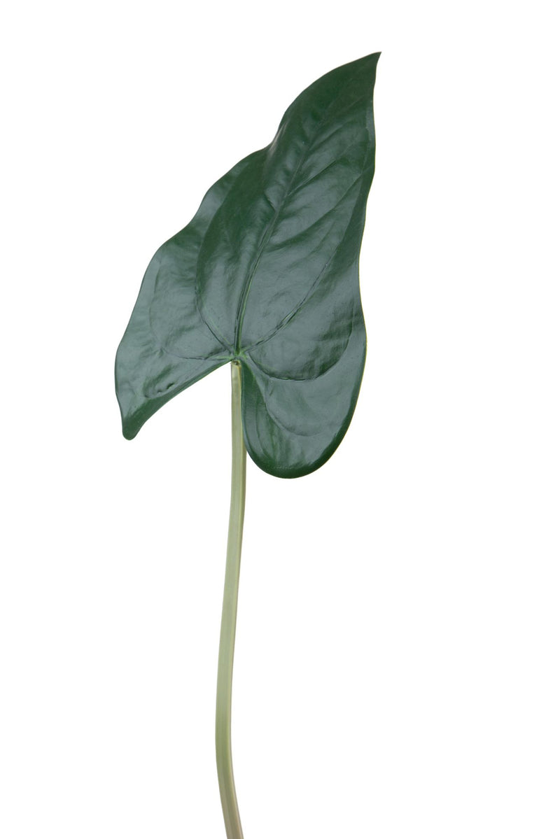 Set 12 Foglia Artificiali Anthurium 55 cm -1