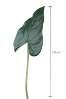 Set 12 Foglia Artificiali Anthurium 55 cm -2