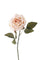 Set 8 Rose Artificiali Aperta Atezza 51 cm