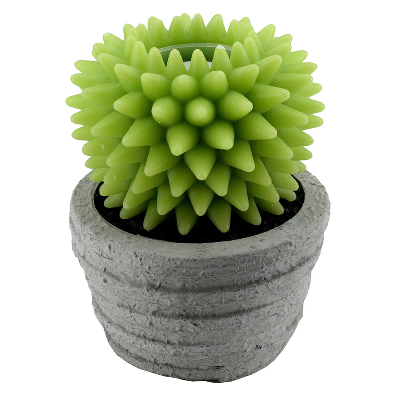 Candela led cactus con vaso fontana cm Ø23xh28-1