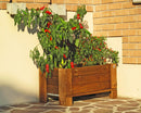 Giardiniera per Fiori e Piante a Terra 81x36xh40 cm in Legno FSC Castagno-2