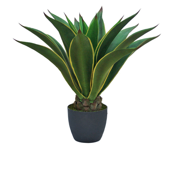 acquista Agave Attenuata Kunstpflanze mit Topfhöhe 98 cm grün