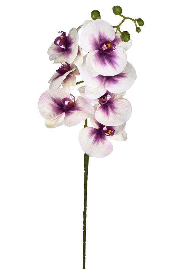 Set 6 künstliche Phalaenopsis mit 7 Blüten Höhe 96 cm prezzo