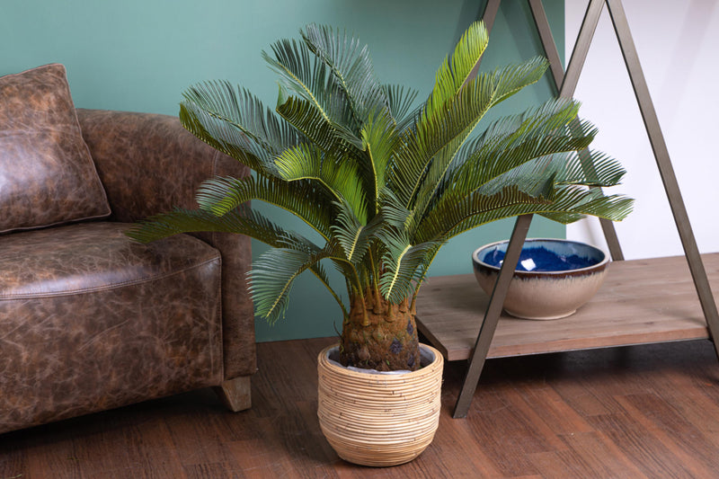 Cycas Artificiale con Vaso Altezza 93 cm Verde-3