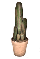 Pianta di Cactus Artificiale con Vaso Altezza 24 cm Verde-1