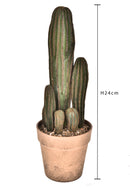 Pianta di Cactus Artificiale con Vaso Altezza 24 cm Verde-2