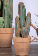 Pianta di Cactus Artificiale con Vaso Altezza 24 cm Verde-5