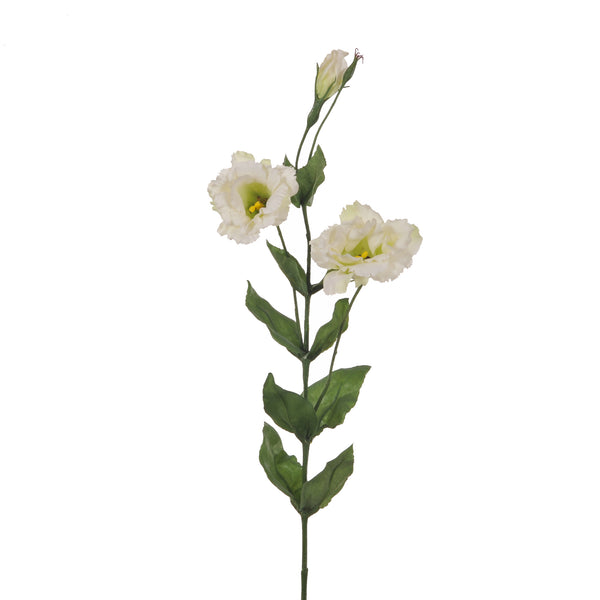 sconto Set 4 künstliche Lisianthus, bestehend aus 3 Blumen, Höhe 82 cm, weiß