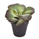 Kalanchoe Succulent Artificiale con Vaso Altezza 16,5 cm Verde-1