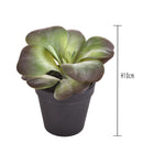 Kalanchoe Succulent Artificiale con Vaso Altezza 16,5 cm Verde-2