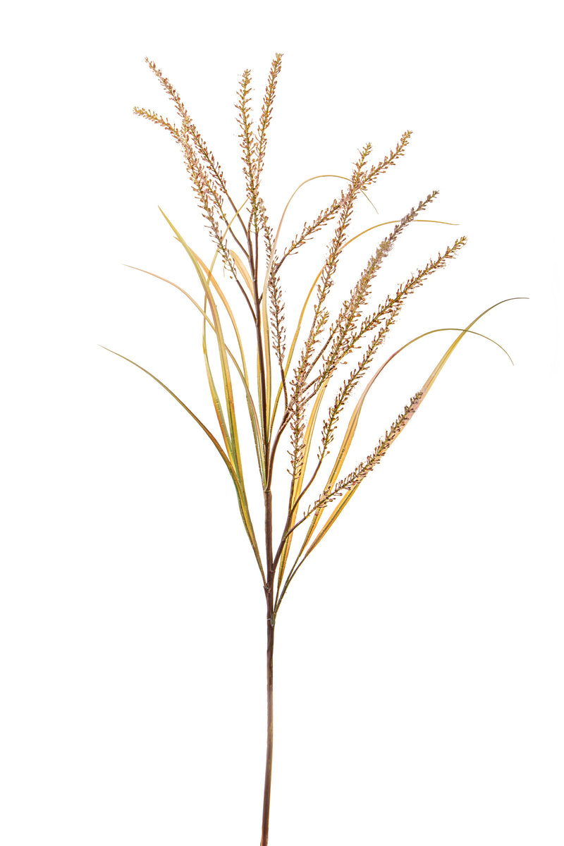 2 Pennisetum Artificiali con 14 Diramazioni Altezza 130 cm Beige-1