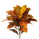 Croton Pianta Artificiale Altezza 60 cm Arancio-1