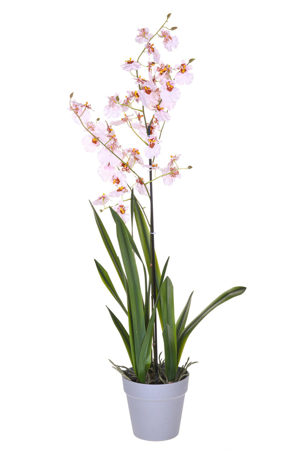 Künstliche Orchidee Oncidium mit Topfhöhe 40 cm Rosa acquista