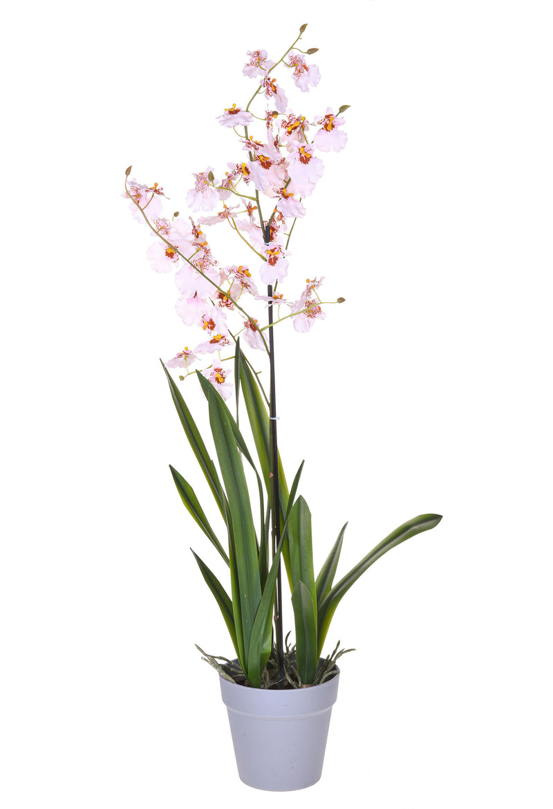 Orchidea Artificiali Oncidium con Vaso Altezza 40 cm Rosa-1