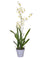 Künstliche Orchidee Oncidium mit Topfhöhe 40 cm weiß