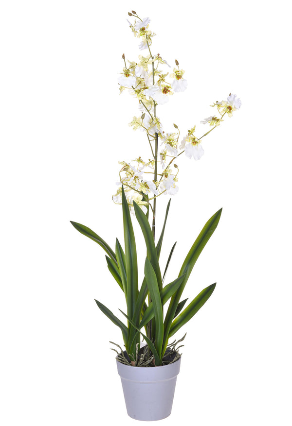 Künstliche Orchidee Oncidium mit Topfhöhe 40 cm weiß prezzo