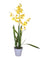 Künstliche Orchidee Oncidium mit Topfhöhe 40 cm Gelb