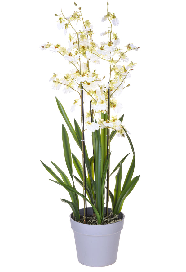 Künstliche Orchidee Oncidium mit 3 Zweigen mit Vase Höhe 45 cm Weiß sconto