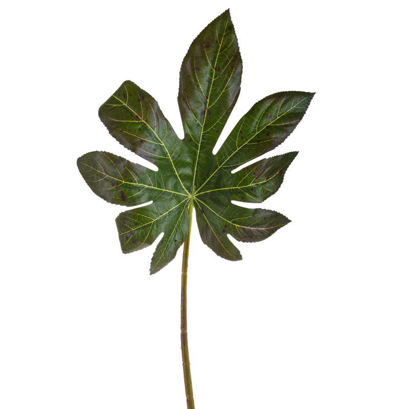 4 Foglie di Aralia Artificiale Altezza 66 cm Verde-1