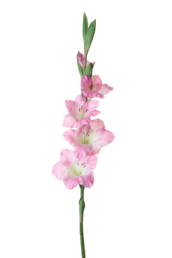 sconto Set 4 künstliche Gladiolenblumen Höhe 85 cm Rosa