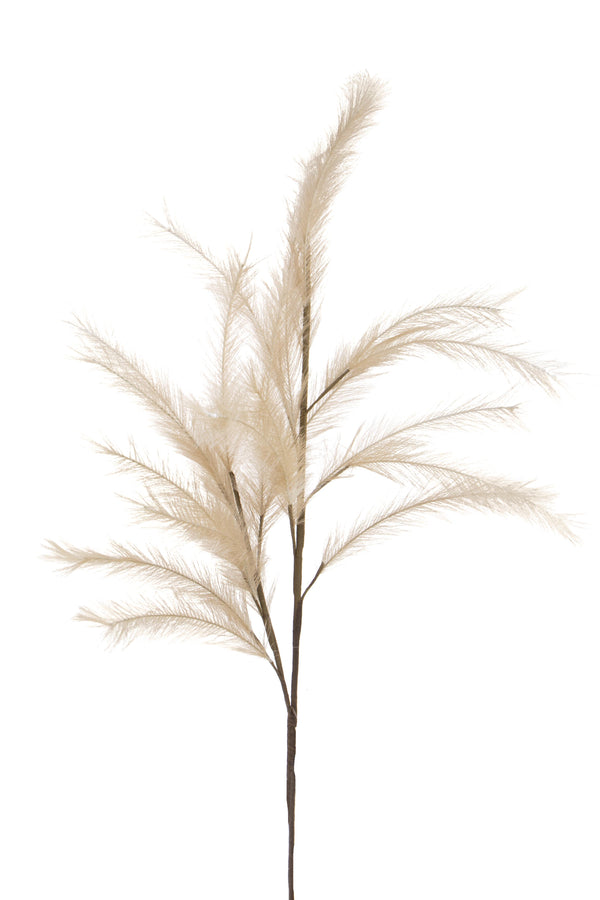 Set mit 12 künstlichen Pampas mit 24 Zweigen, Höhe 115 cm, braun sconto