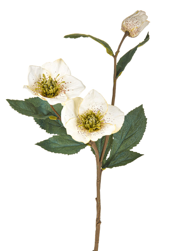 acquista 12er Set Kunstpflanze Rosa Helleborus Höhe 56 cm Weiß