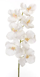 2 Orchidea Artificiali Vanda Altezza 100 cm Bianco-1