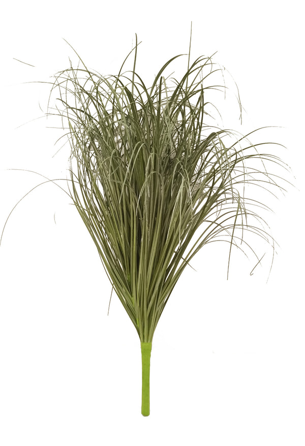 Set 2 künstliche Pennisetum-Pflanzen, Höhe 68 cm, grün online