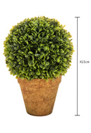 Sfera Bossolo/Buxus Artificiale con Vaso Altezza 23 cm Verde-2